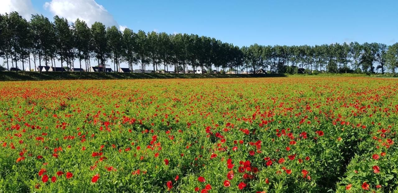 Villa Emilia - Gemuetliches Kinderfreundliches Blockhaus Mit Umzaeuntem Garten Sint-Annaland Buitenkant foto