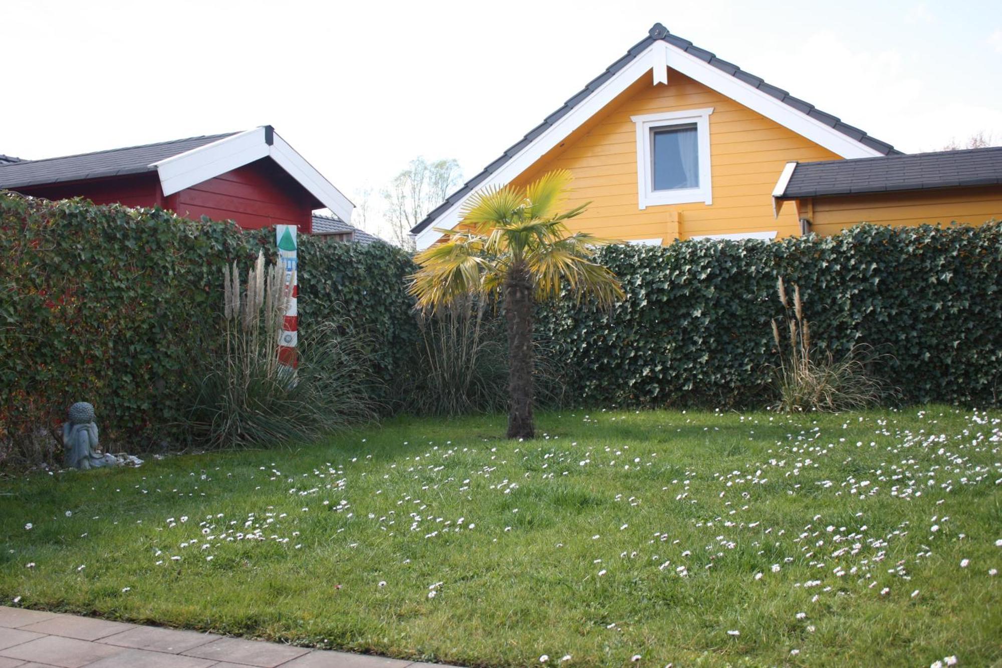 Villa Emilia - Gemuetliches Kinderfreundliches Blockhaus Mit Umzaeuntem Garten Sint-Annaland Buitenkant foto